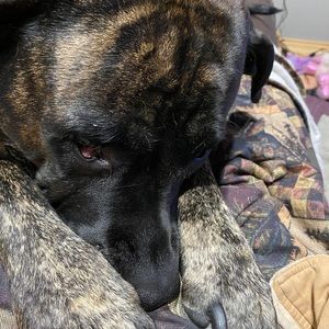 Meet your Posher, Ellie